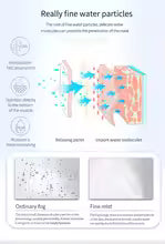 Ozone Facial Steamer Warm Mist Humidifier for Face Deep Cleaning Vaporizer Sprayer Salon Home Spa Skin Care Whitening